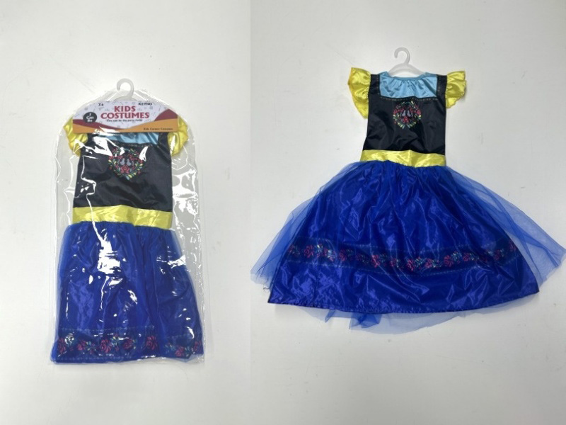 Princess Anna Dress