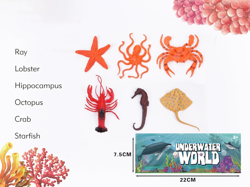 Marine Life (6Pcs)
