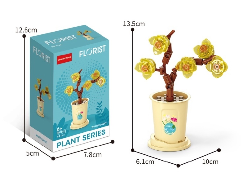 44 Pcs Of Winter Plum Blossoms On The Winter Solstice