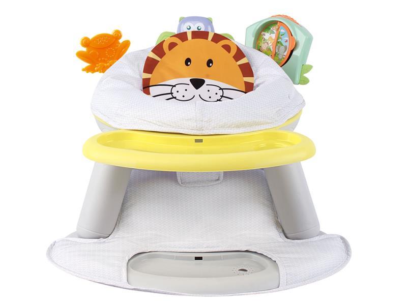 2 In 1 Fitness Dinning Chair