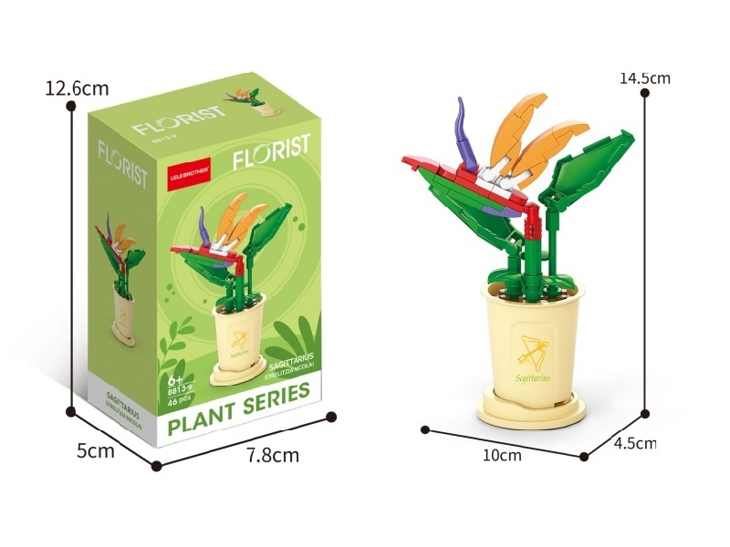 Sagittarius Bird Of Paradise 46Pcs