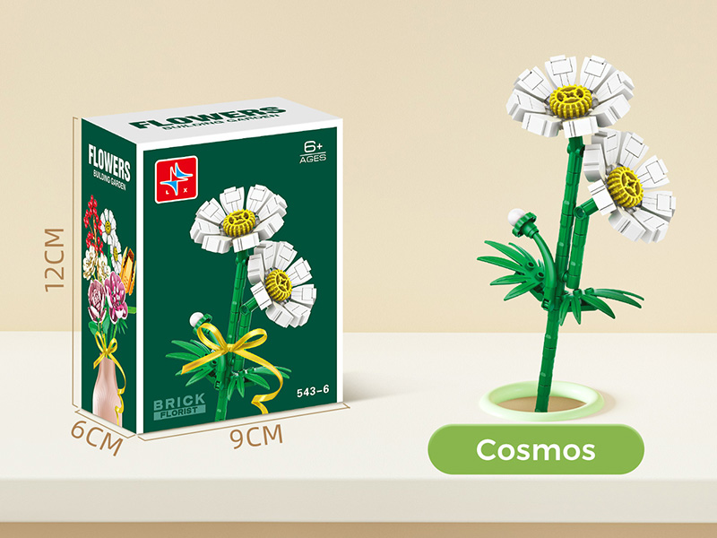 Small Particle Building Blocks - Cosmos