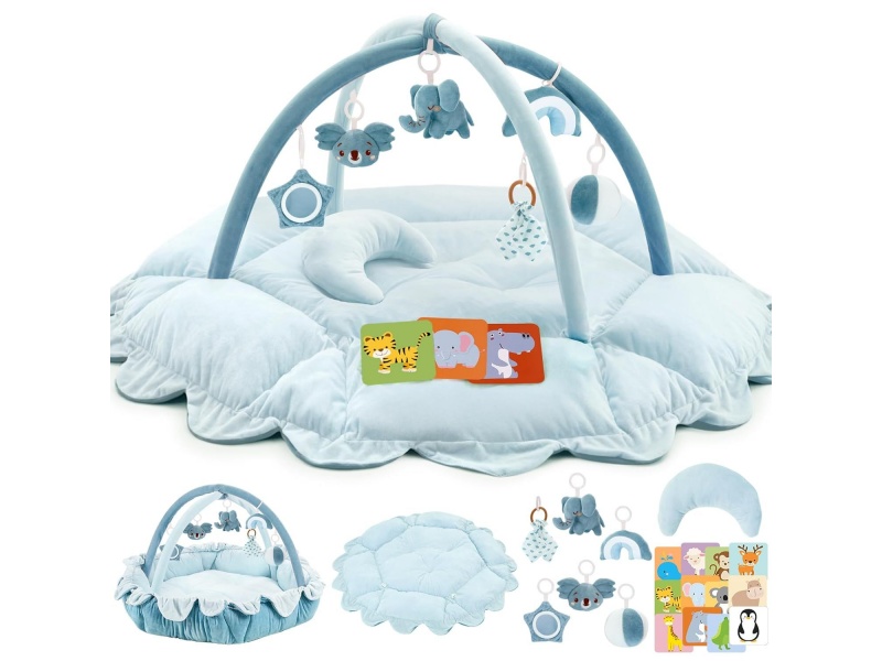 Baby Play Gym