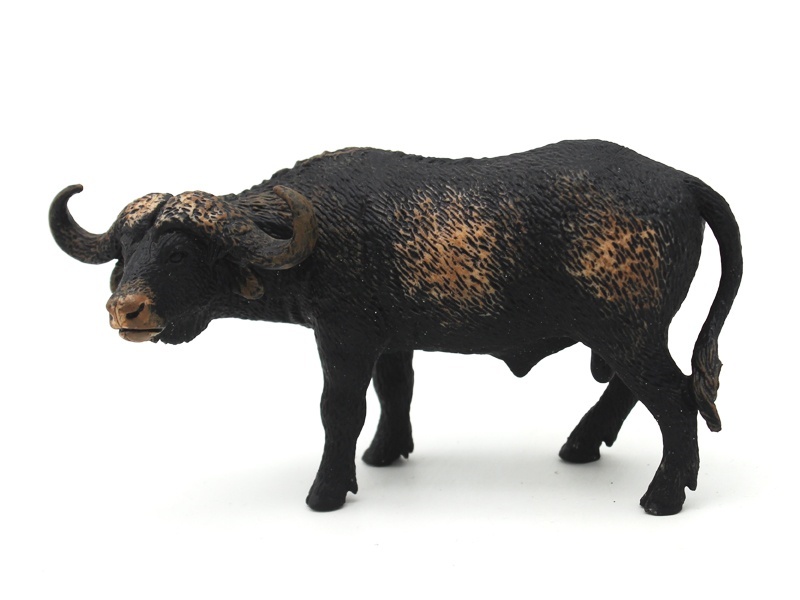 African Buffalo