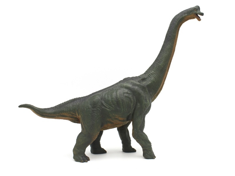 Brachiosaurus Dongbo