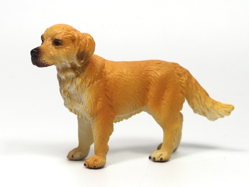 Female Golden Retriever