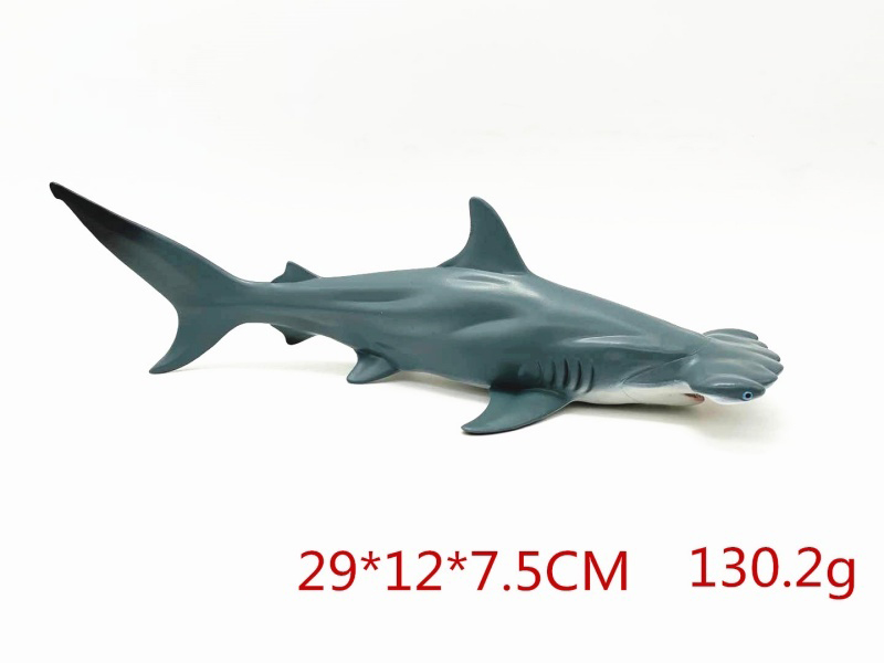 Hollow Hammerhead Shark