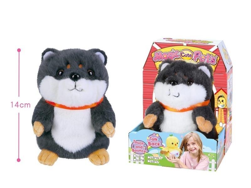 Magic Little Shiba Inu