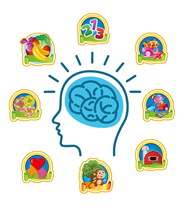 Using the Spanish Smart Learning Pen helps the brain recognize different types of things