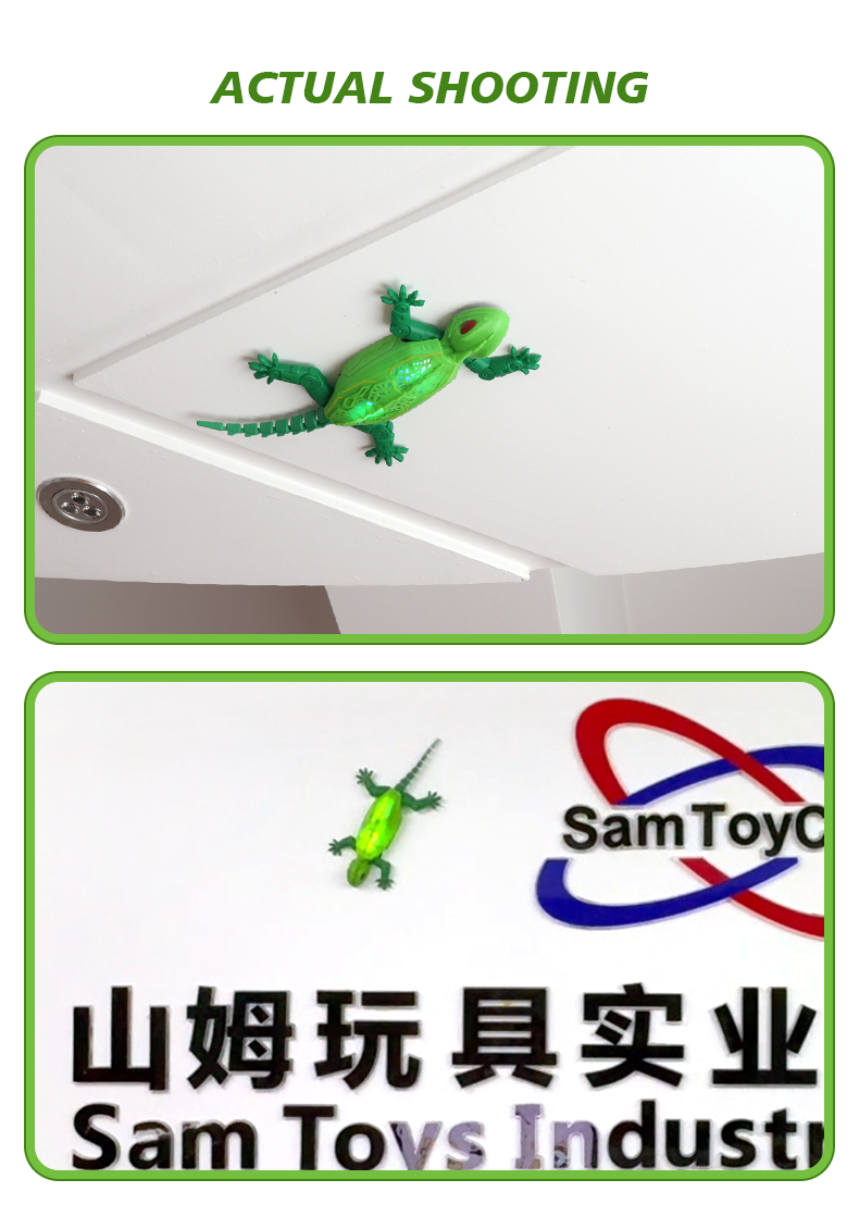 Real-life images of the Green Wall-Climbing Geckos toy on walls and ceilings