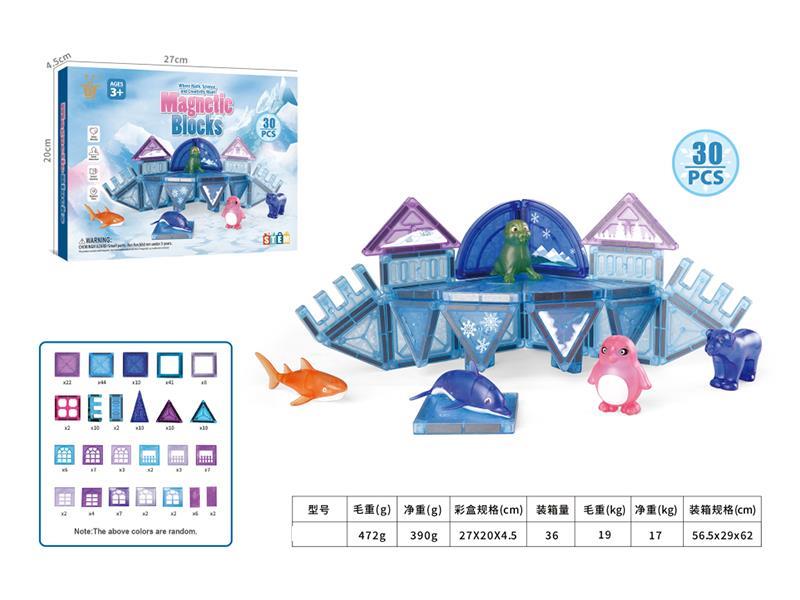 Ice Ocean Magnetic Building Blocks 30pcs