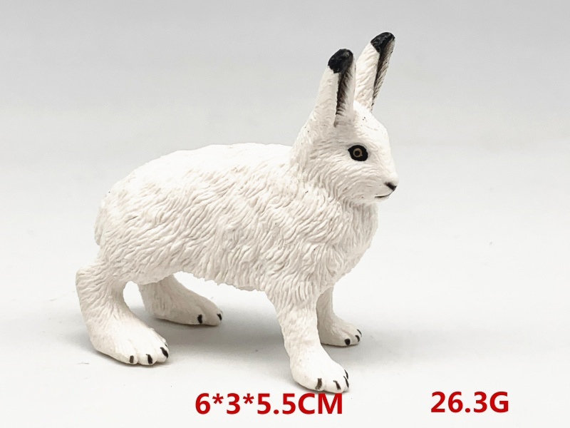 Arctic Rabbit