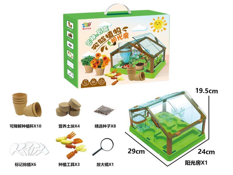 Experimental Plant Sunshine Room - Boys Version