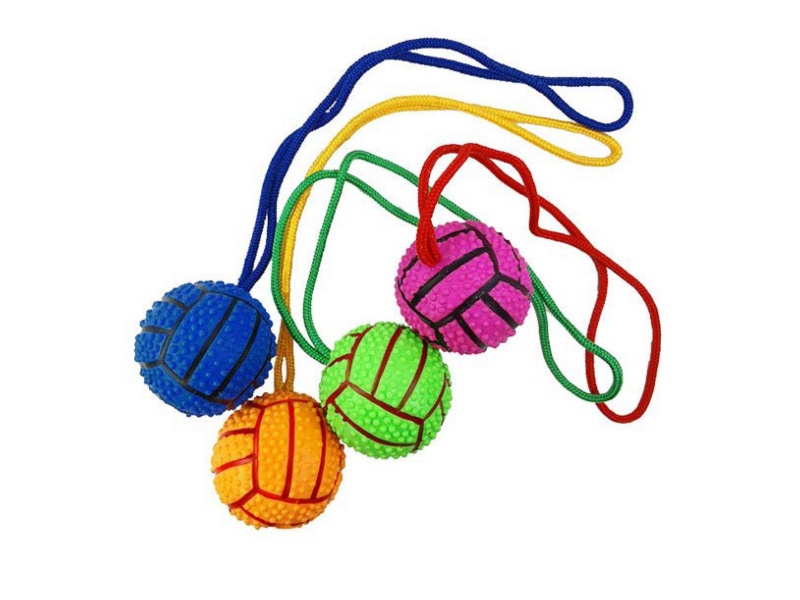 Lanyard Basketball Pet Toy