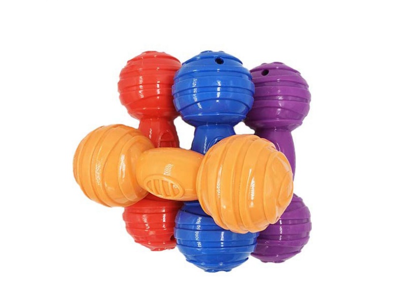 Bright Barbell Pet Toys