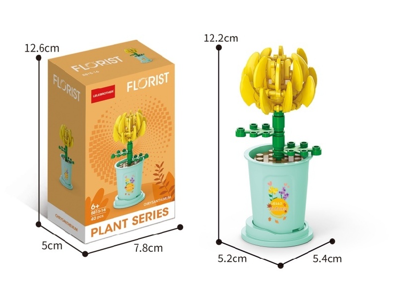 Autumn Wind Chrysanthemum 40 Pcs