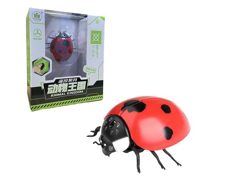 Remote Control Ladybird