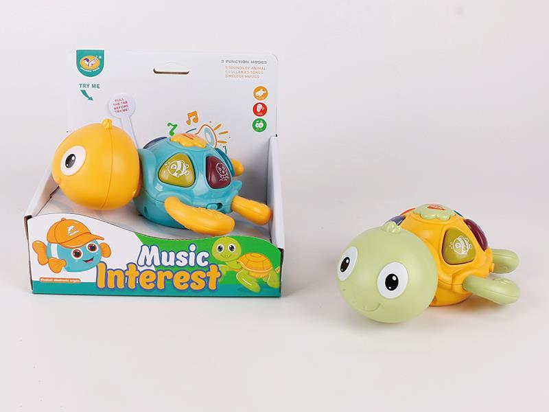 Music Small Sea Turtle
