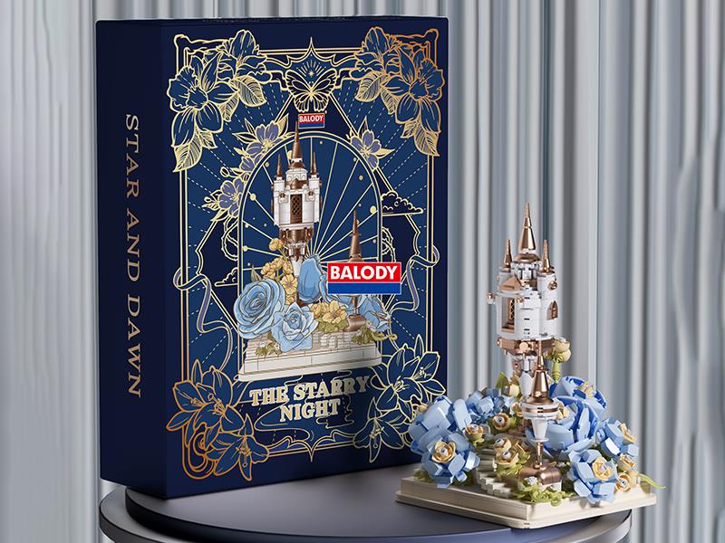 The Starry Night Building Blocks 1039pcs