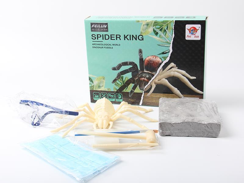 Fossil Collection - Archaeological Excavation Spider
