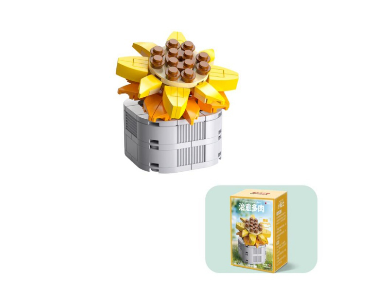 101 Pcs Of Small Succulents - Huang Li