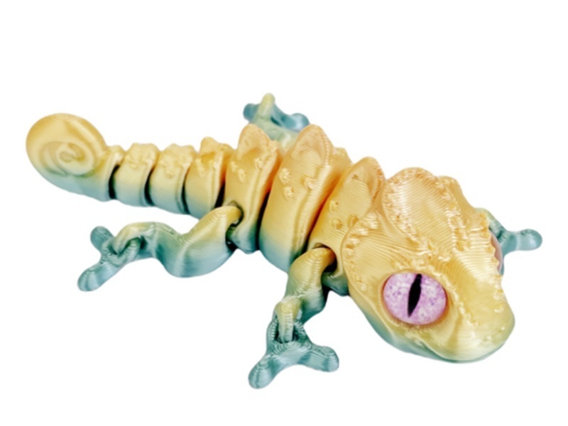 The Chameleon Is 8Cm Close To The Glass Eye