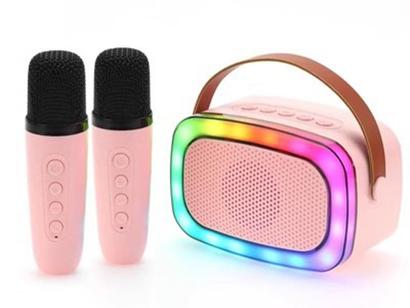 Wireless Bluetooth Portable Speaker(Double Microphone)