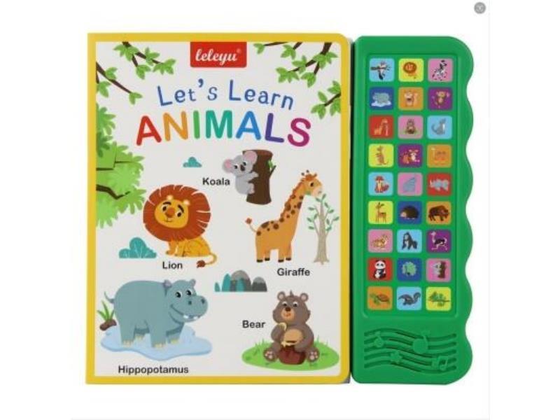 There Are Sound Card Books In English