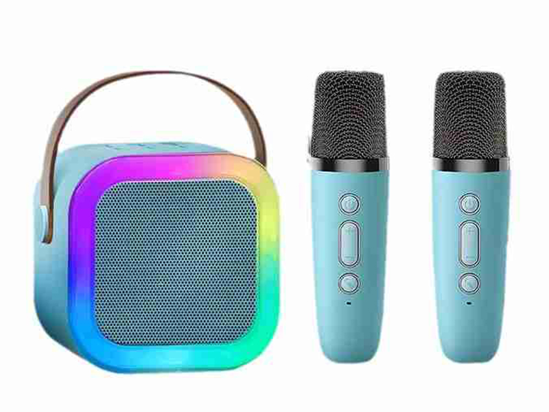 Speaker With 2 Microphones