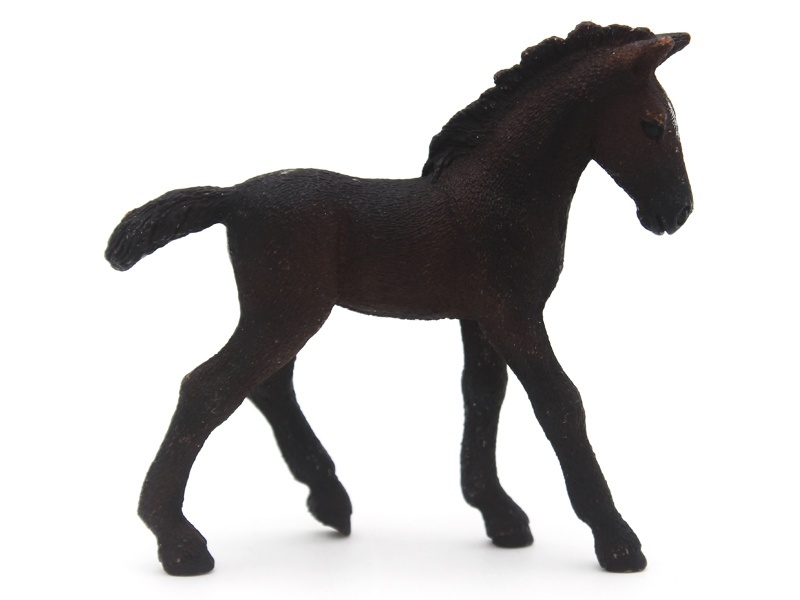 Libiza Pony