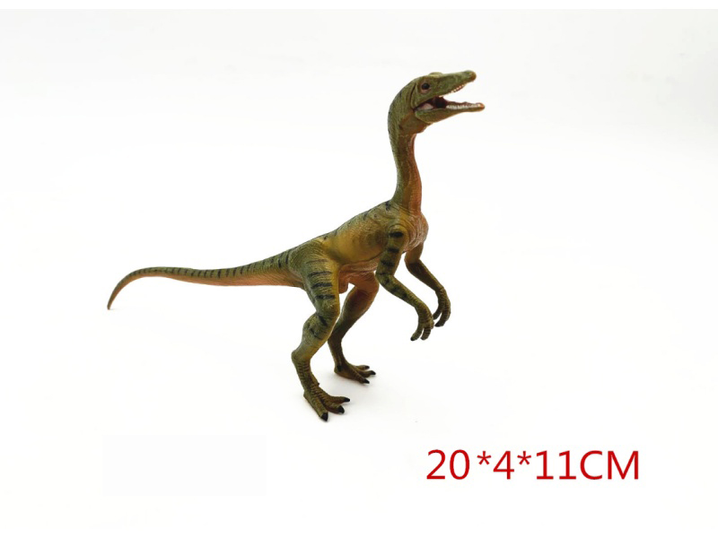 Pvc Mandibular Dragon