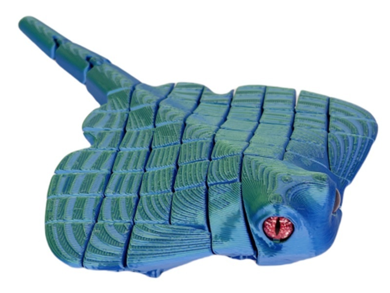 Manta Rays Are 17Cm Long And Have Glass Eyes Attached