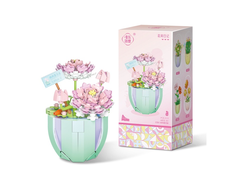 Echeveria Building Blocks 312pcs