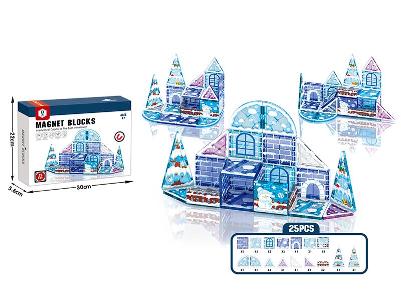 Ice World Magnetic Building Blocks 25pcs