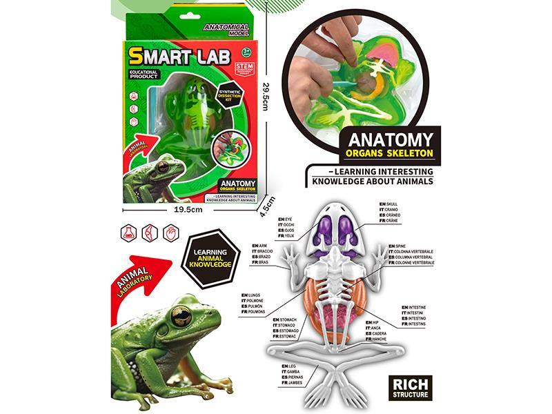 Displaning Lab Set + Frog