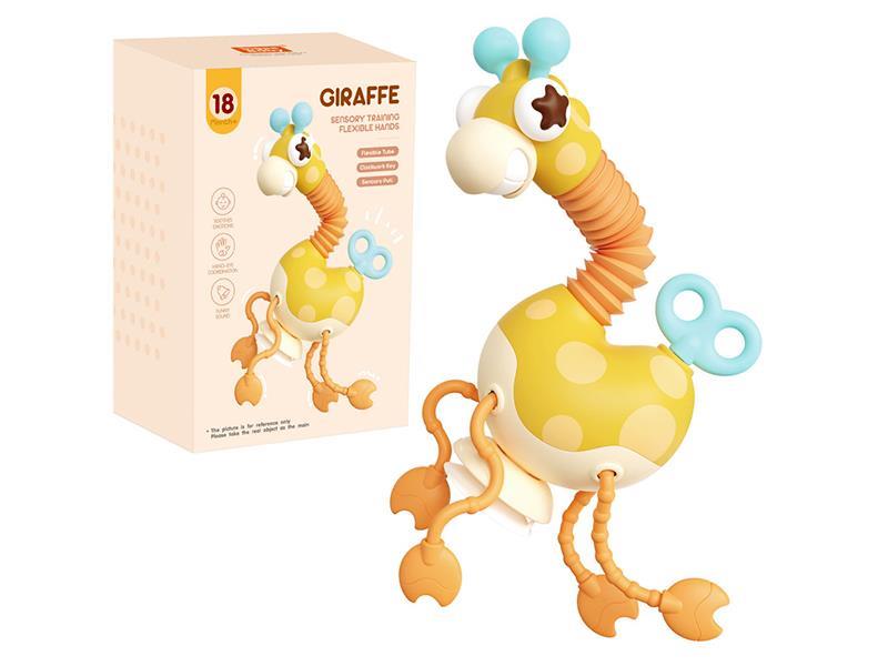 Giraffe Sensory Training Toys