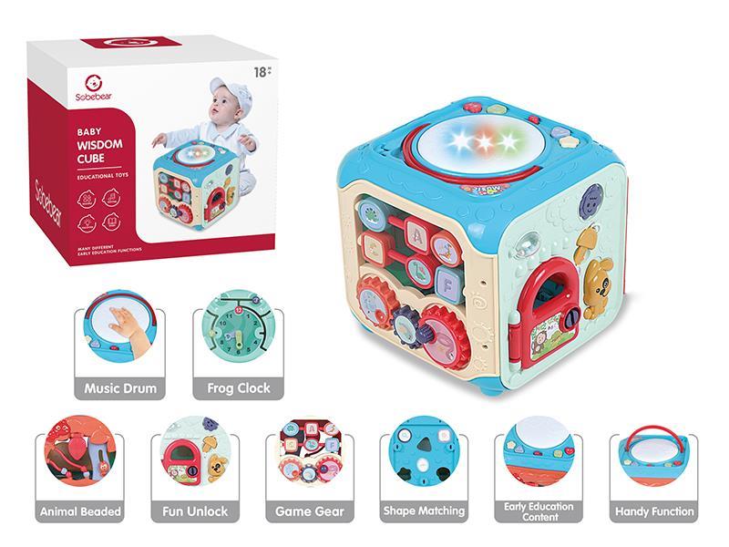 Baby Wisdom Cube
