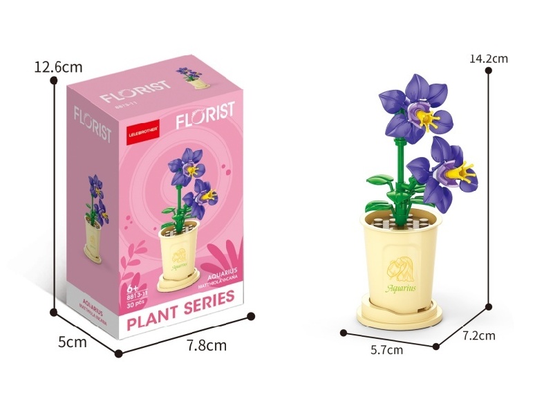 Aquarius Violet 30Pcs