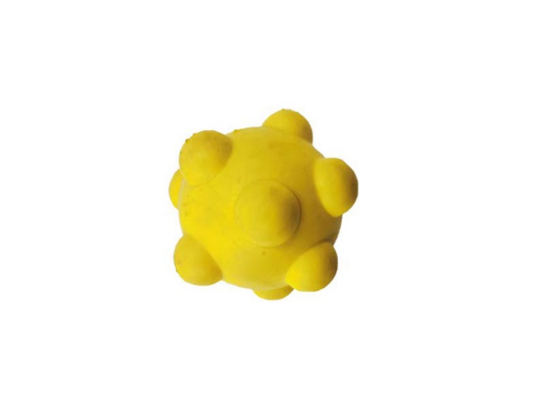 Bubble Ball Pet Toys