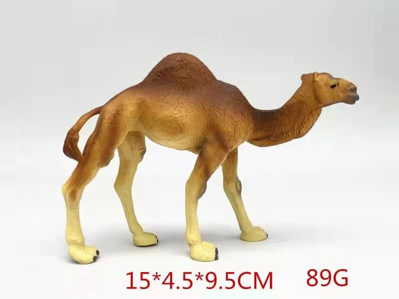 New Dromedary Camel