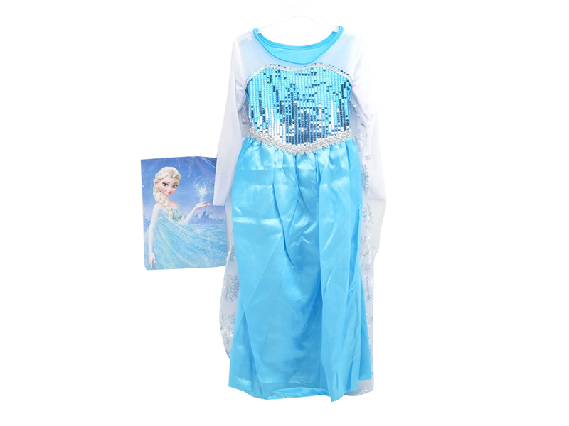 Frozen Princess Dress Cosplay Costume