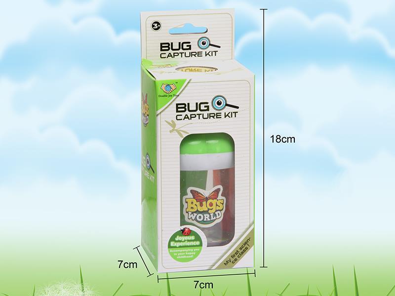 Insect Toy