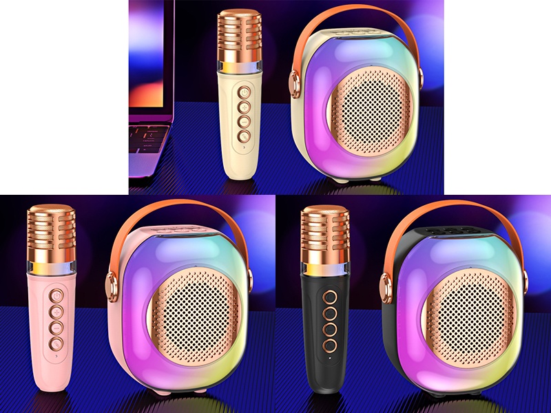 Wireless Bluetooth Microphone Karaoke Speaker(Single Microphone)