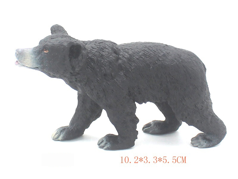 Black Bear