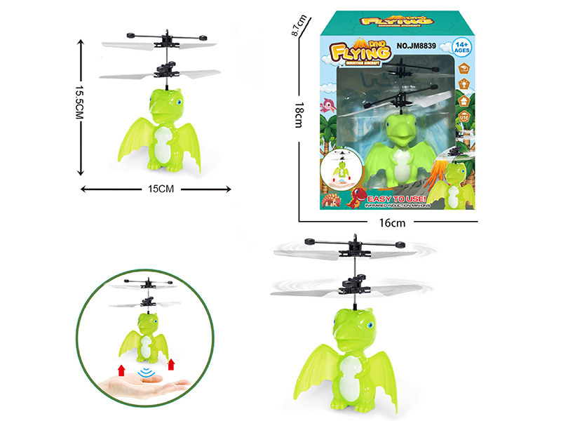 Induction Flying Pterosaur Aircraft