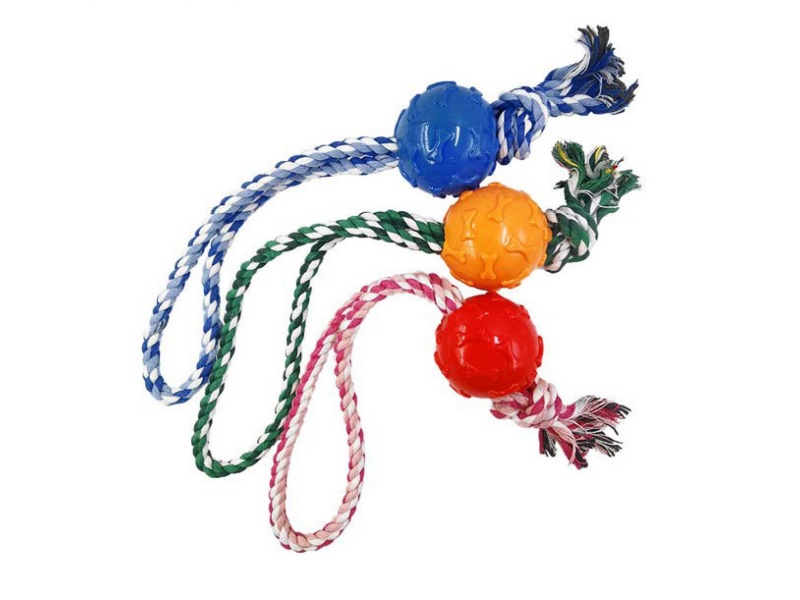Double-Line Bone Ball Pet Toy