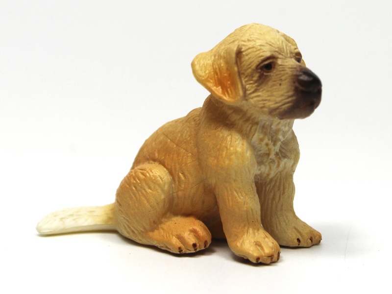 Sitting Golden Retriever