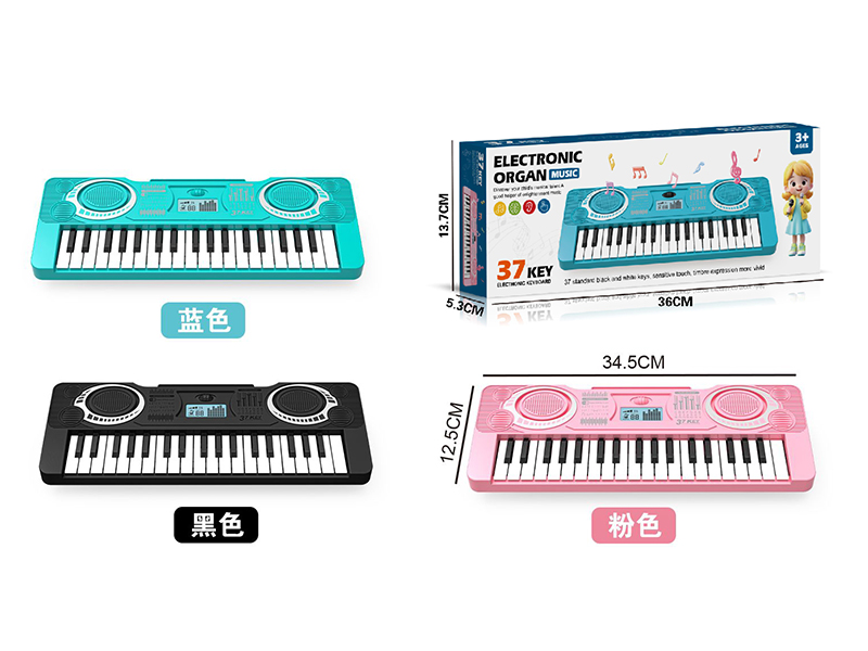 37 Keys Music Electronic Organ