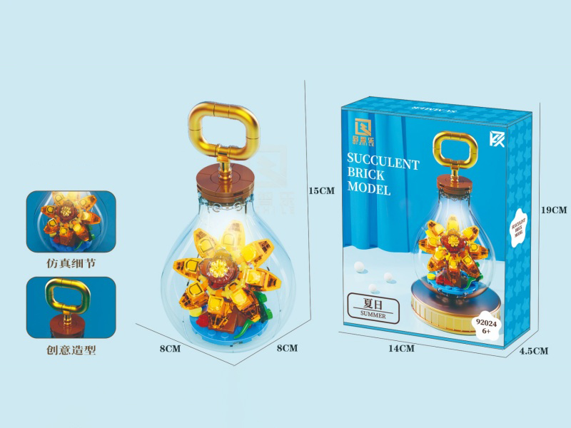 Bulb Succulents - Summer