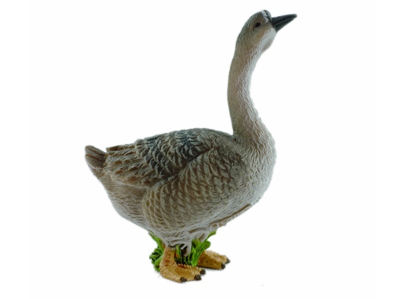 Female Goose